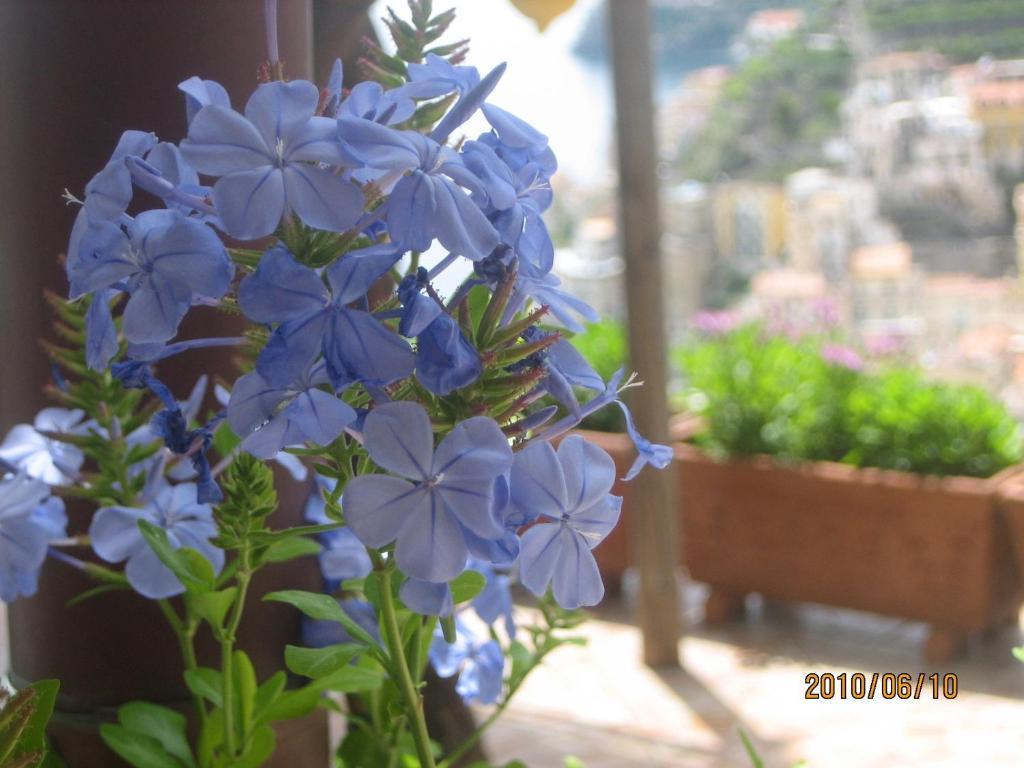 Villa Marietta Minori Εξωτερικό φωτογραφία