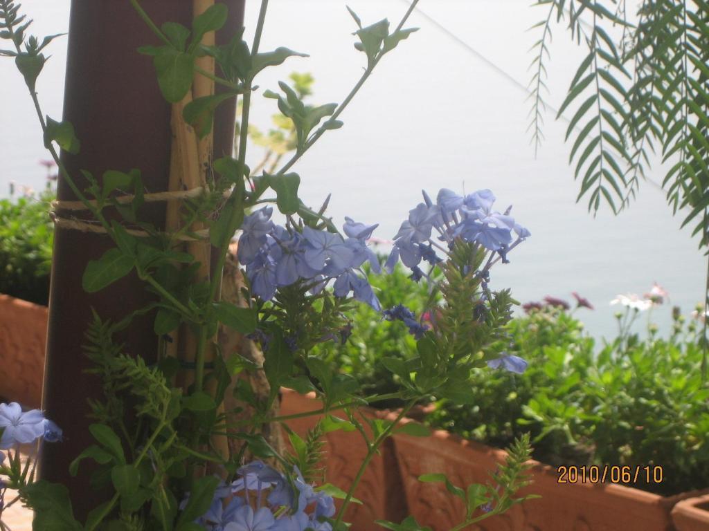 Villa Marietta Minori Εξωτερικό φωτογραφία