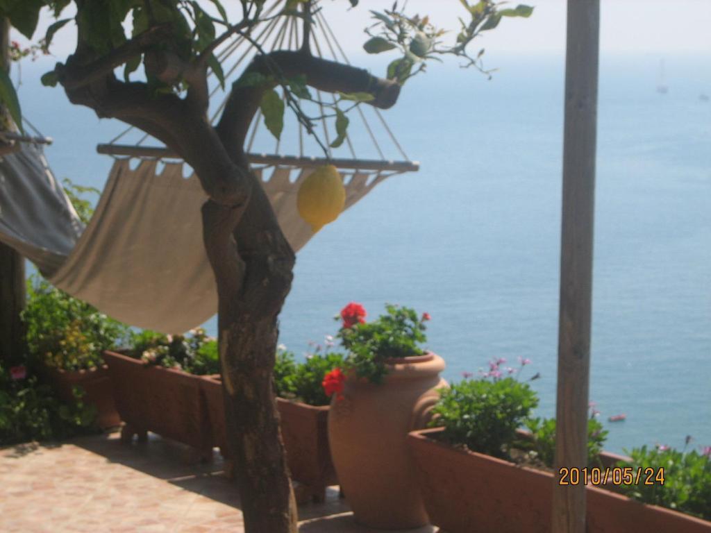 Villa Marietta Minori Εξωτερικό φωτογραφία
