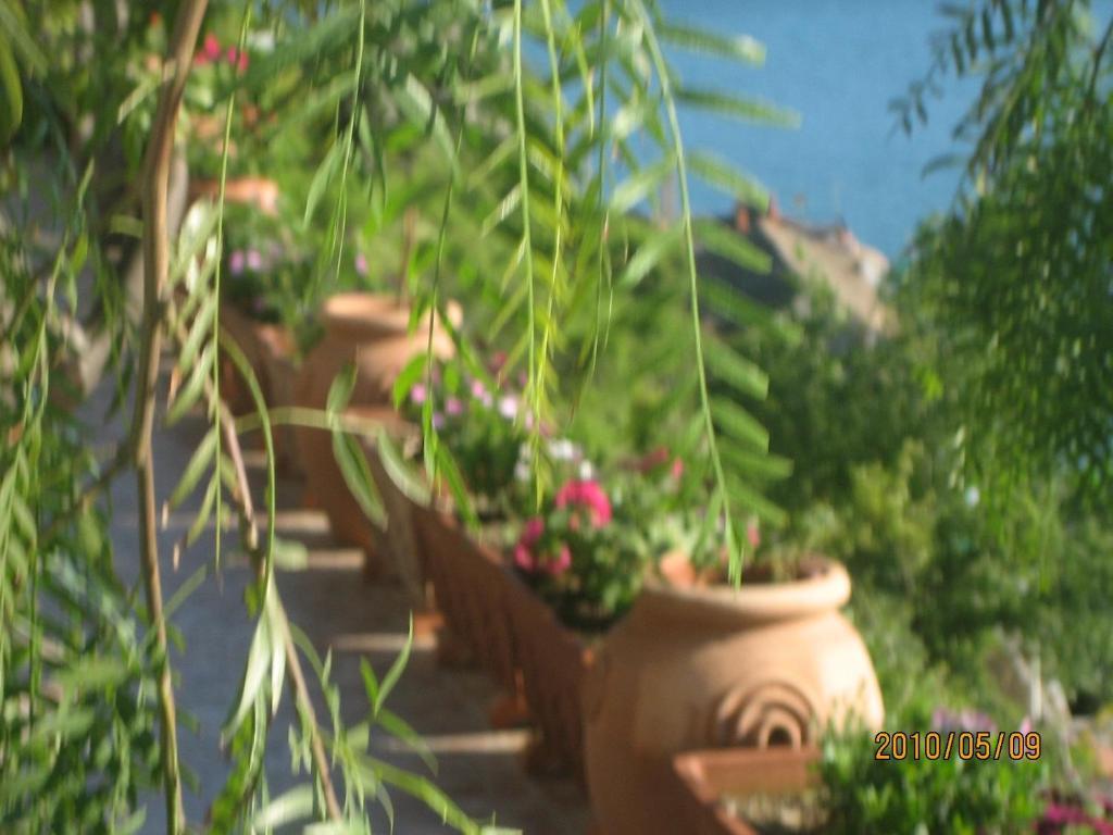 Villa Marietta Minori Εξωτερικό φωτογραφία